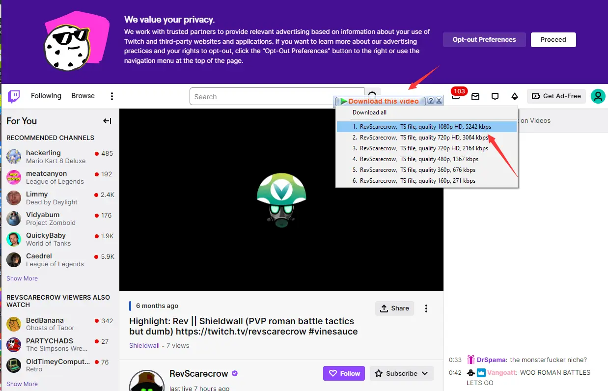 Internet Download Manager (IDM)