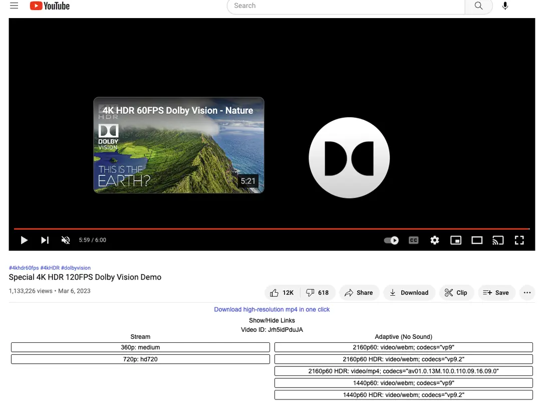 Local YouTube Downloader