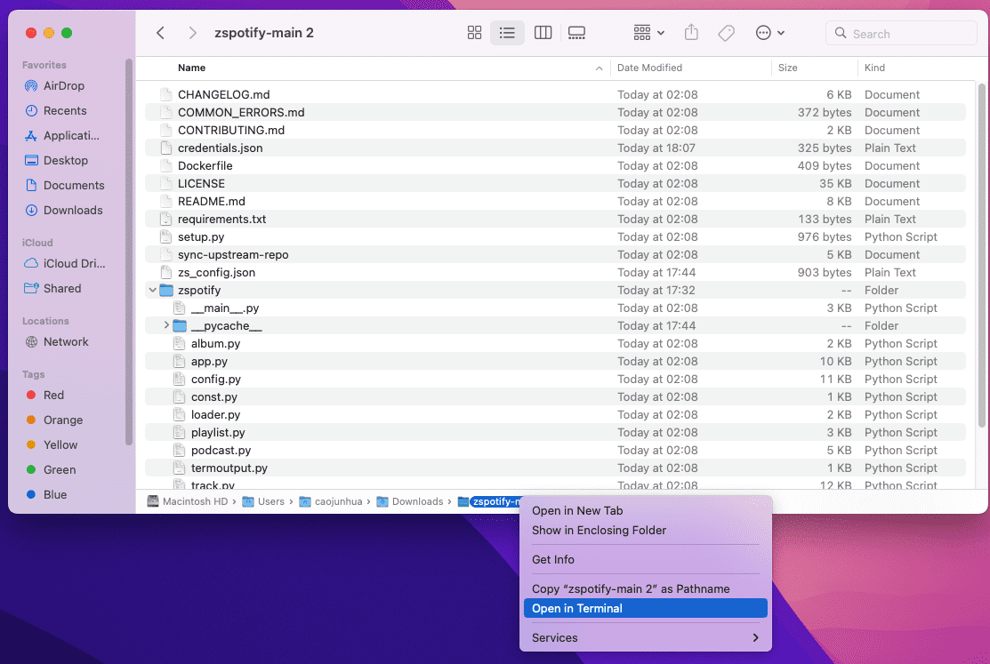 Open in Terminal macOS